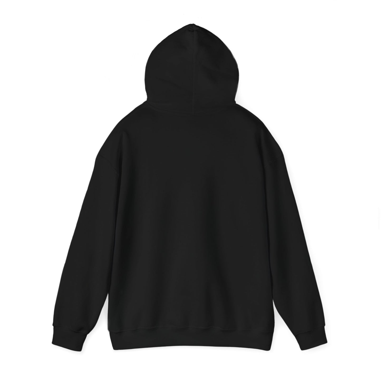 Winter Is Coming Hooded Sweatshirt