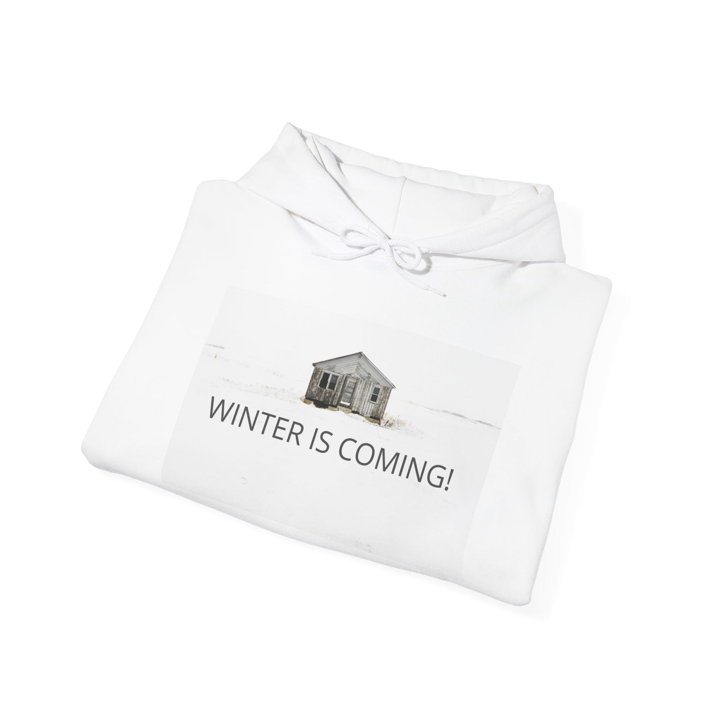 Winter Is Coming Hooded Sweatshirt