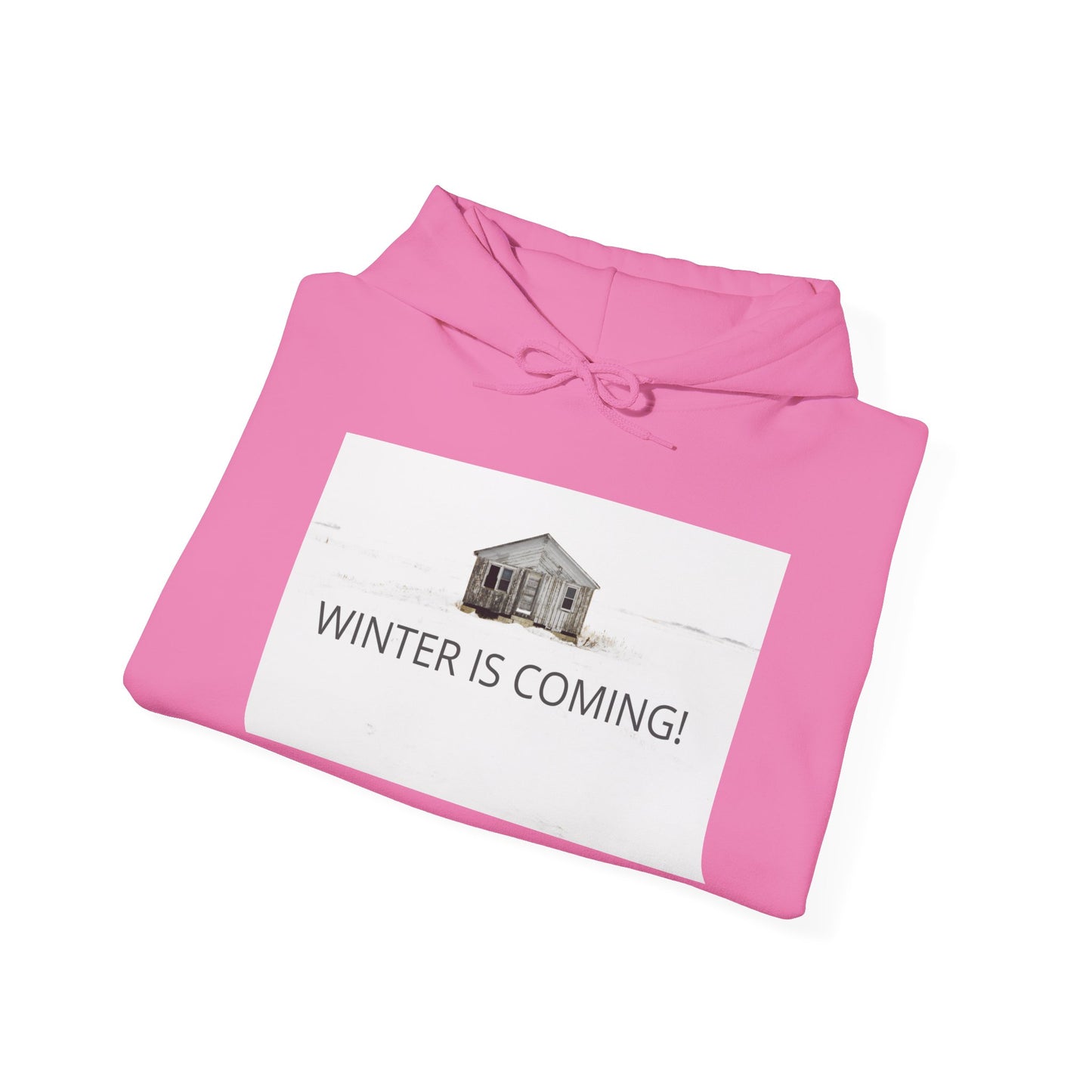 Winter Is Coming Hooded Sweatshirt
