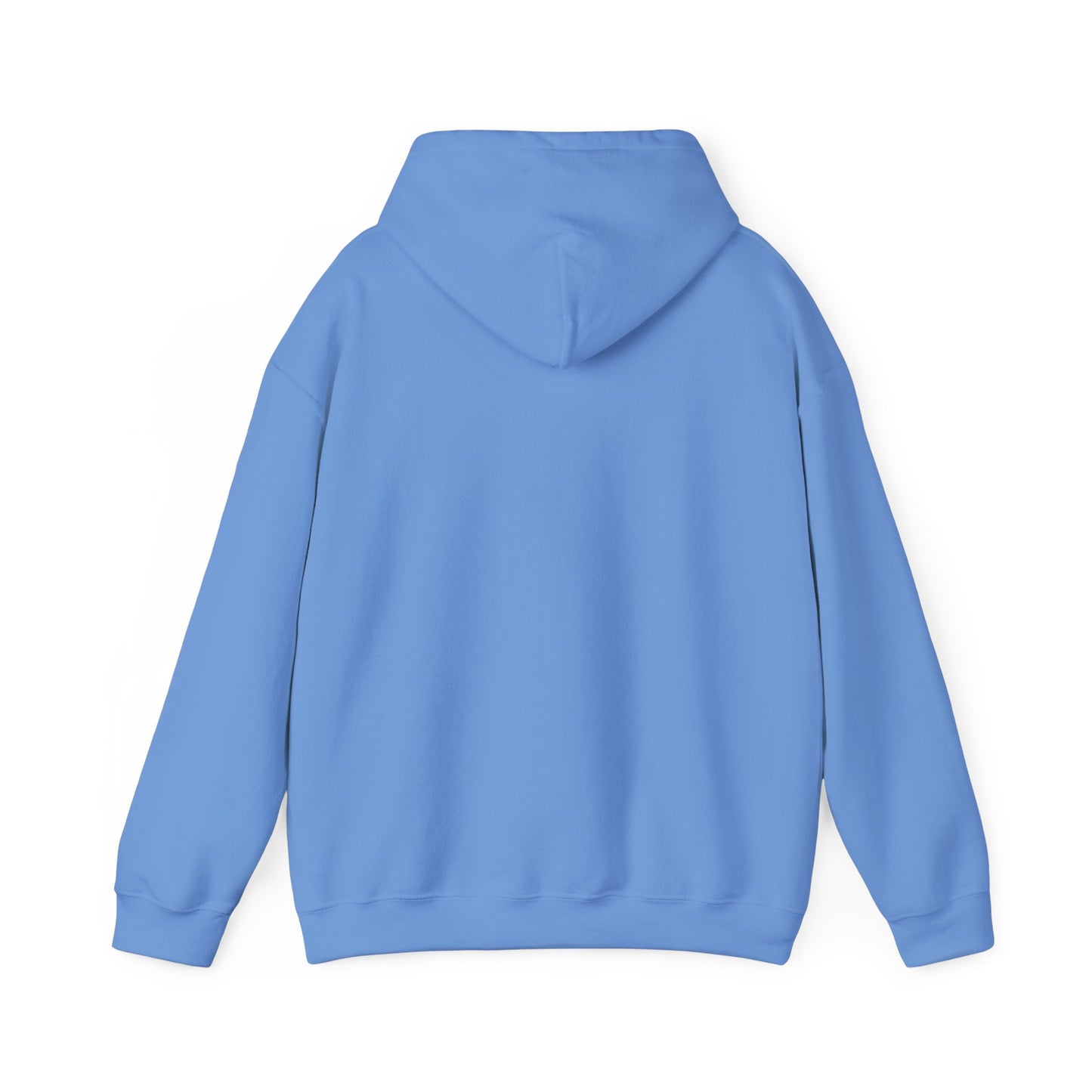 Winter Is Coming Hooded Sweatshirt