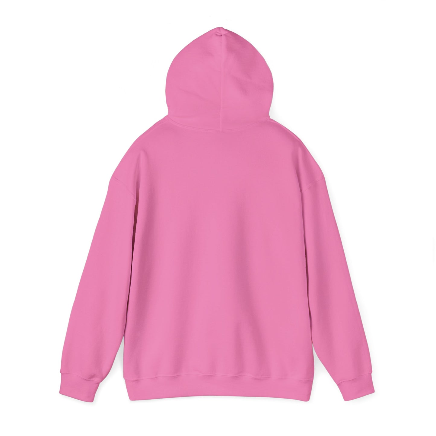 Winter Is Coming Hooded Sweatshirt