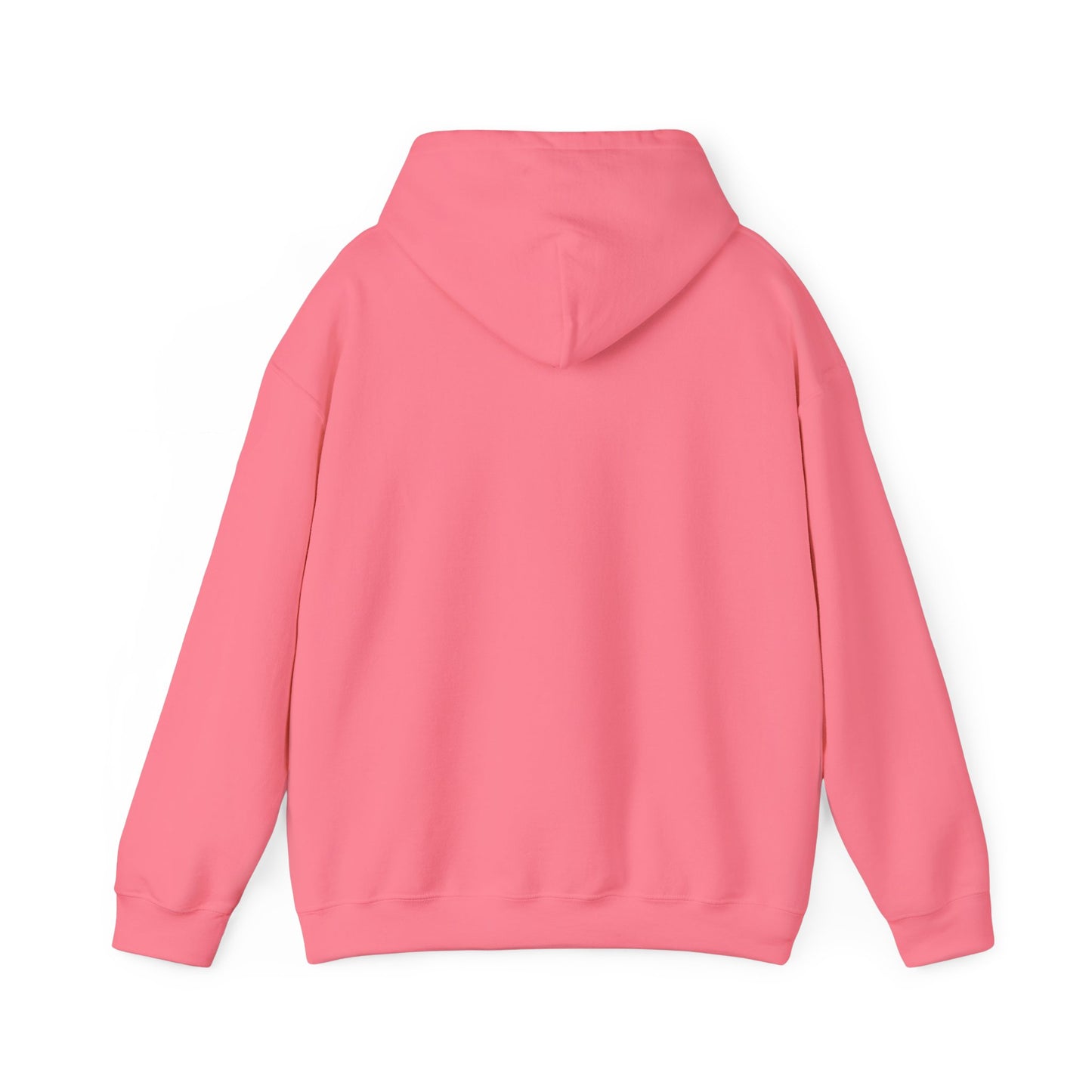 Winter Is Coming Hooded Sweatshirt