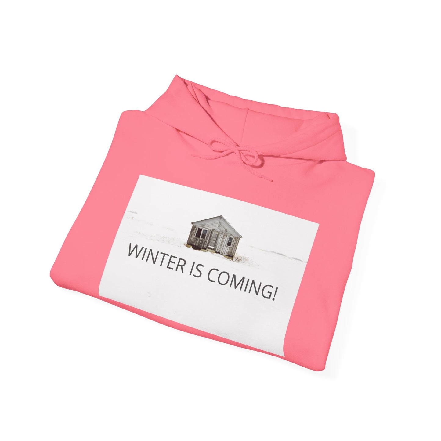 Winter Is Coming Hooded Sweatshirt