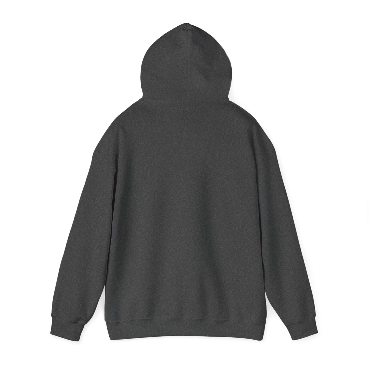 Winter Is Coming Hooded Sweatshirt