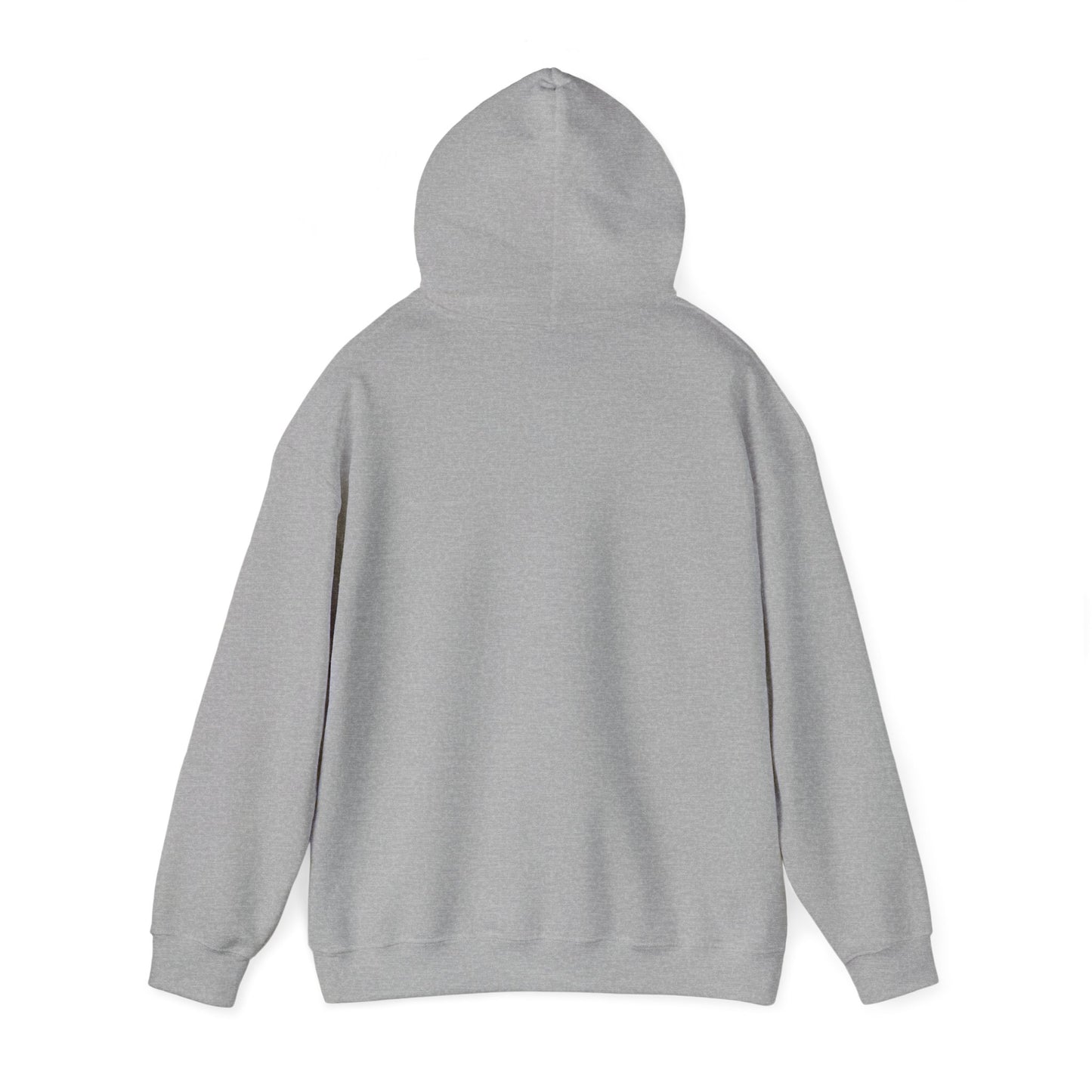Winter Is Coming Hooded Sweatshirt