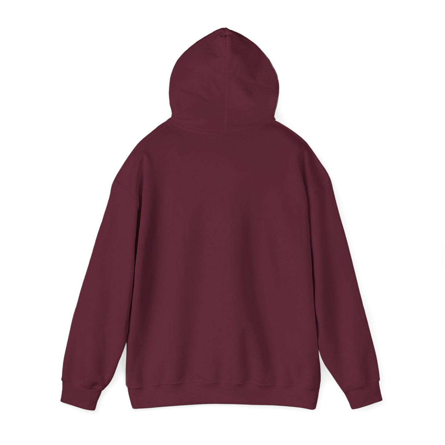 Winter Is Coming Hooded Sweatshirt