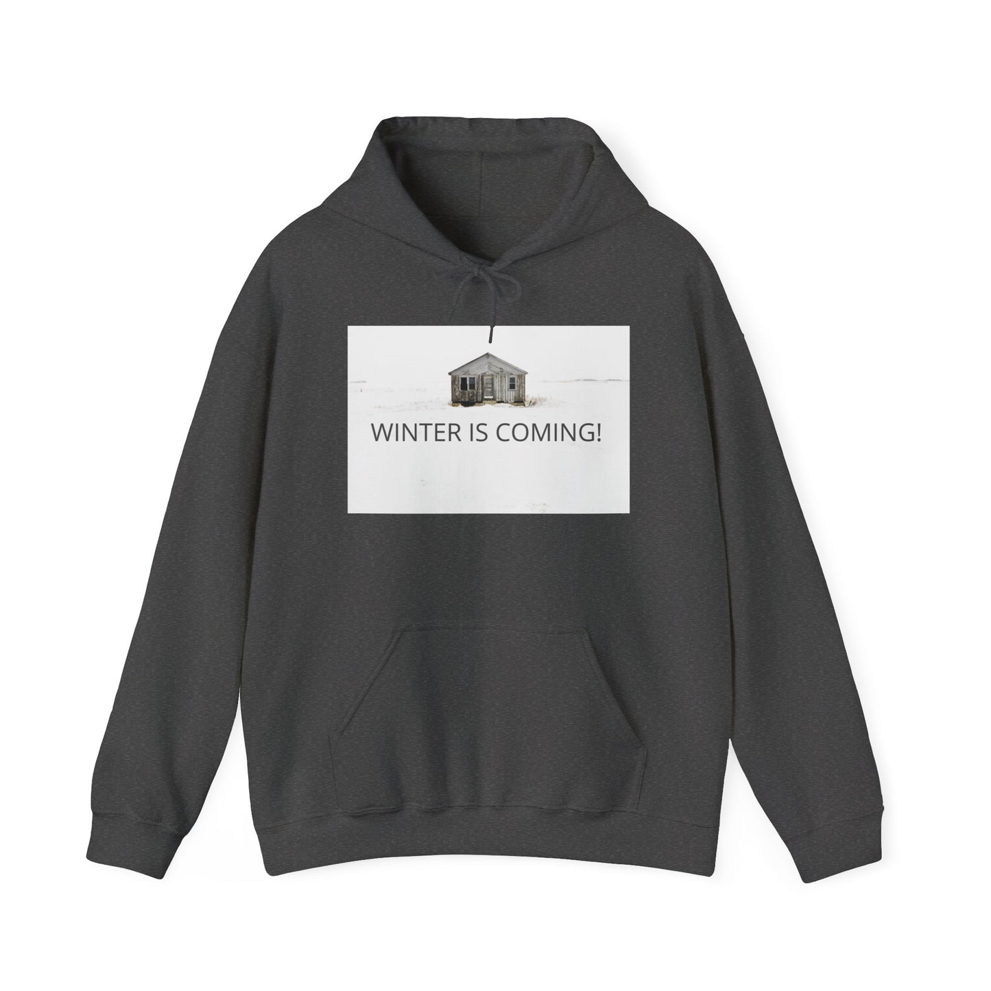 Winter Is Coming Hooded Sweatshirt