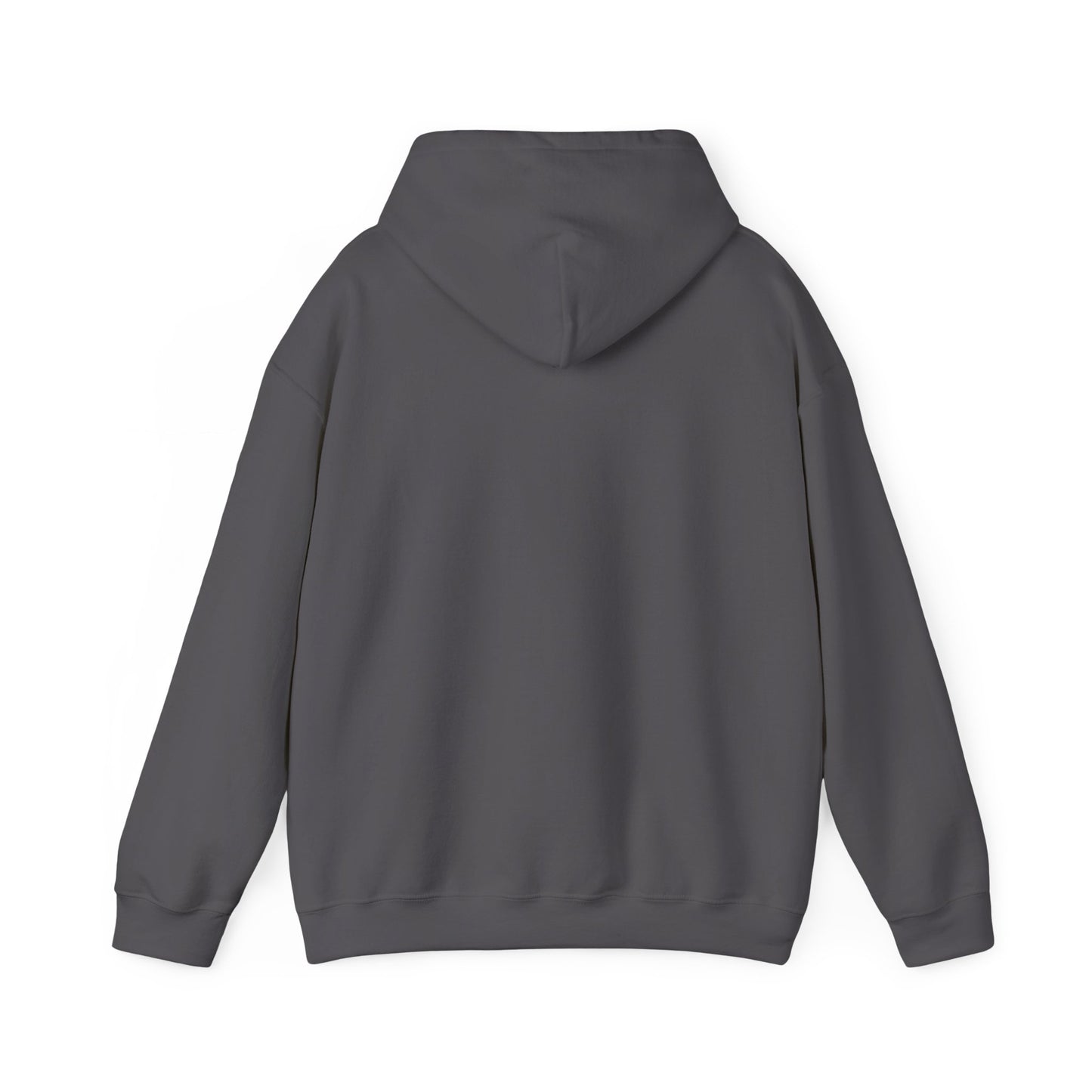 Winter Is Coming Hooded Sweatshirt