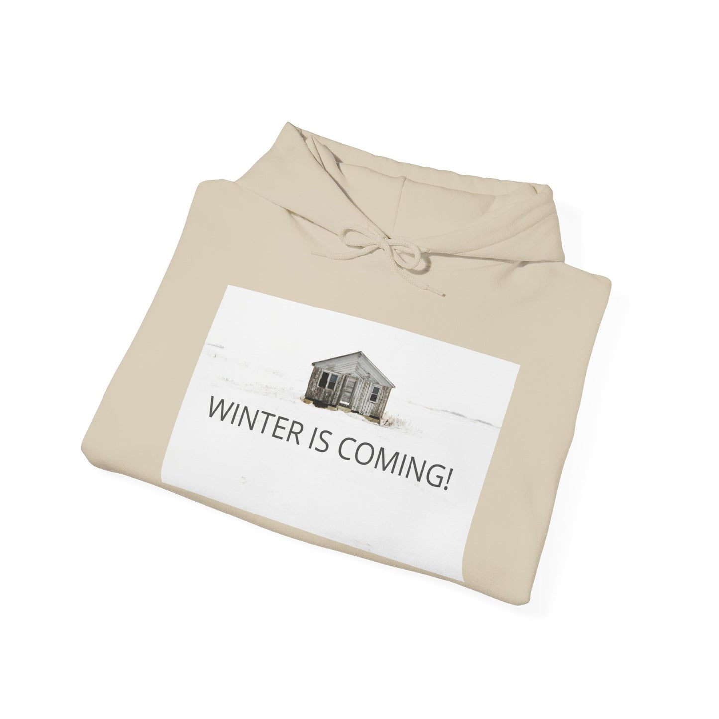 Winter Is Coming Hooded Sweatshirt