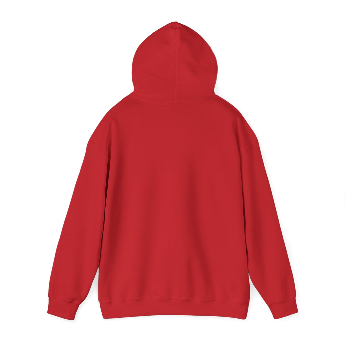 Winter Is Coming Hooded Sweatshirt