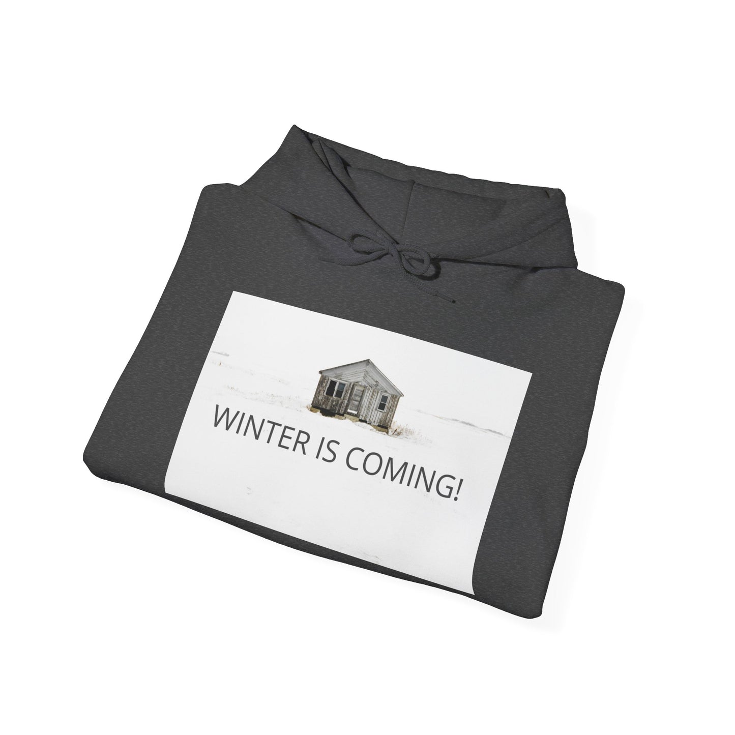 Winter Is Coming Hooded Sweatshirt