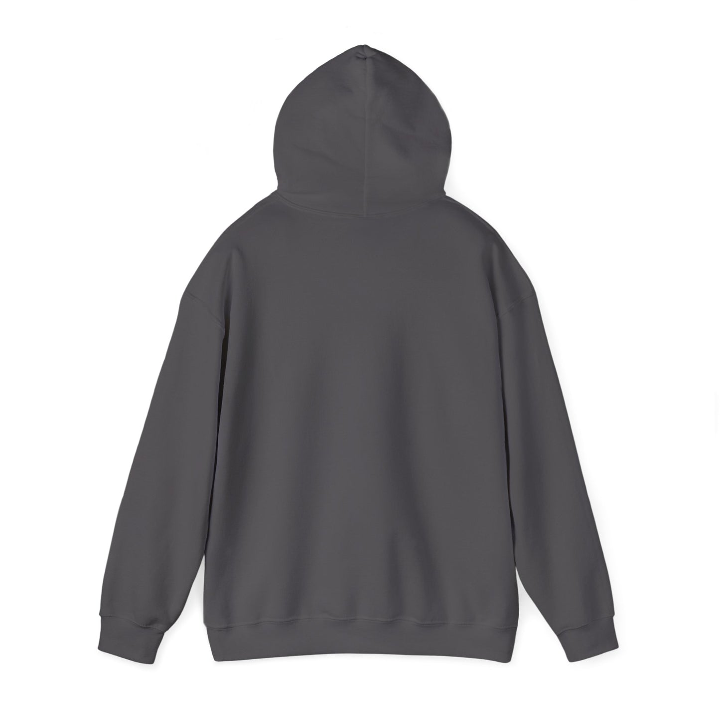 Winter Is Coming Hooded Sweatshirt