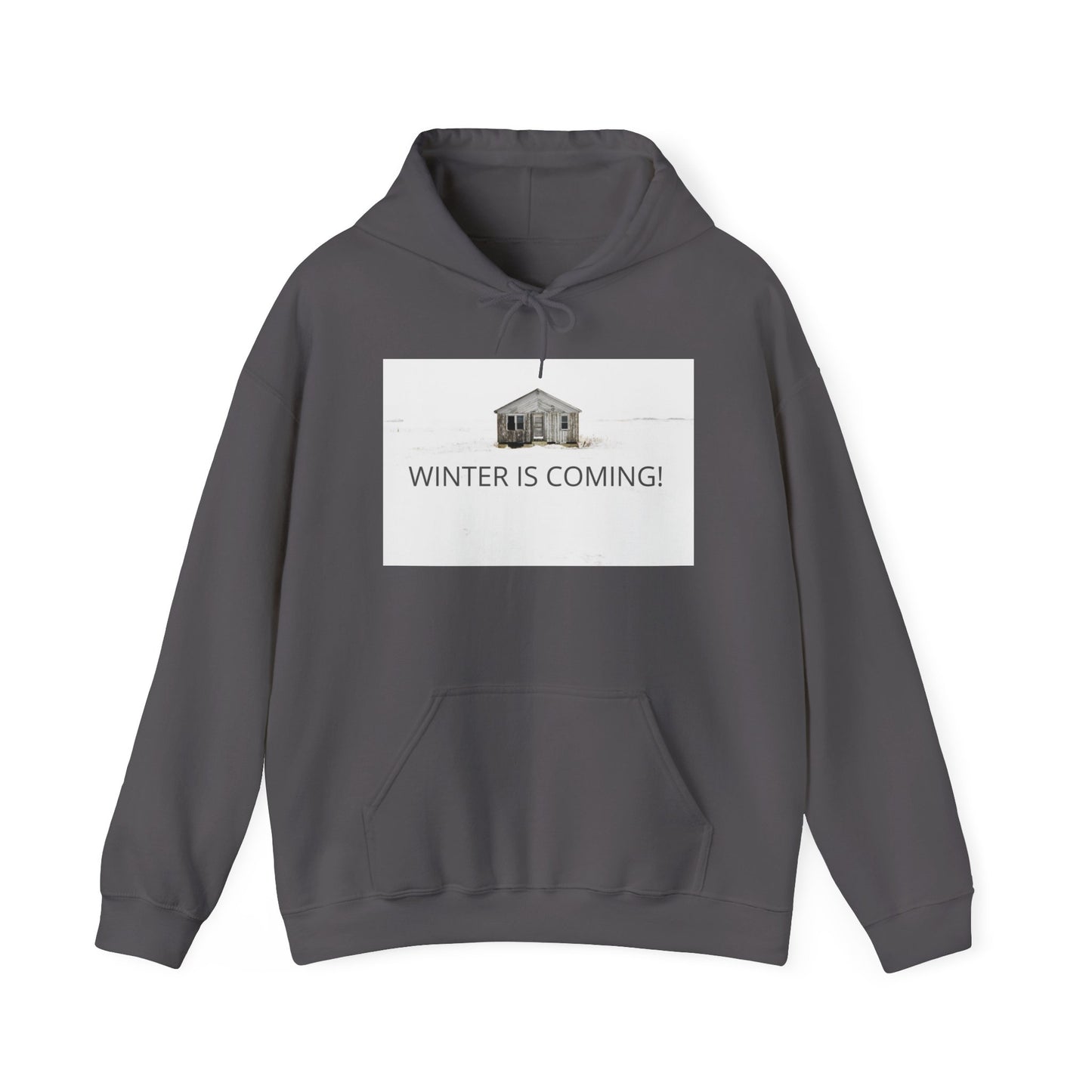 Winter Is Coming Hooded Sweatshirt