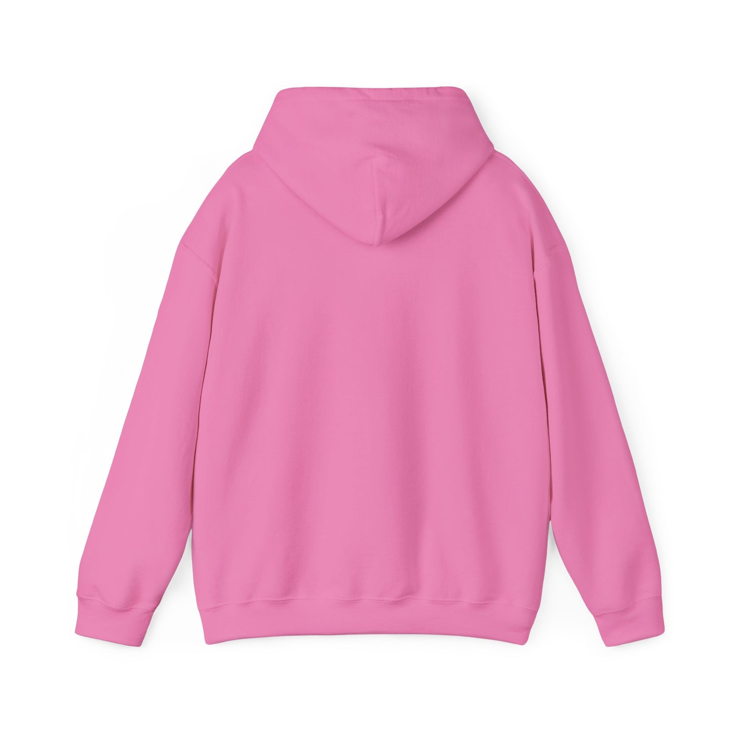 Winter Is Coming Hooded Sweatshirt