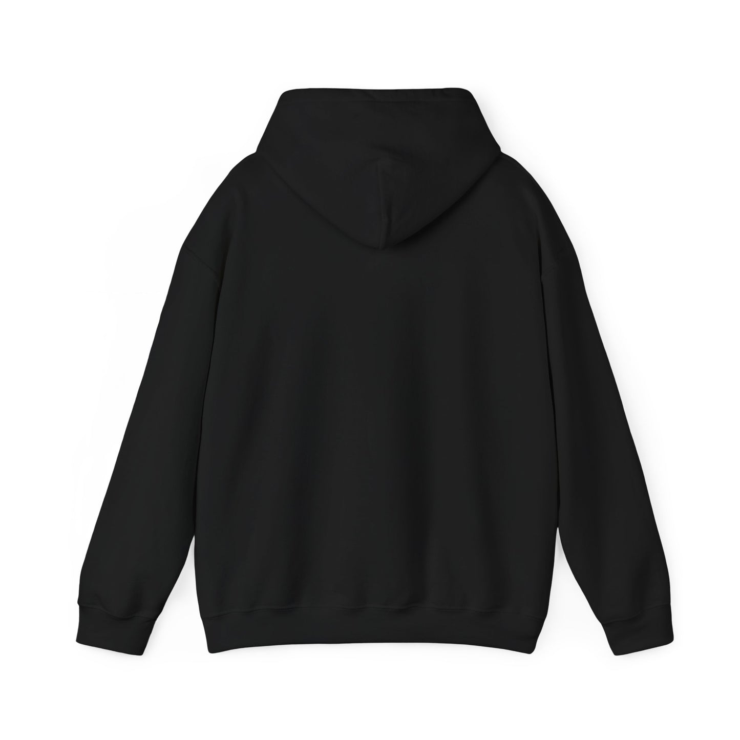 Winter Is Coming Hooded Sweatshirt