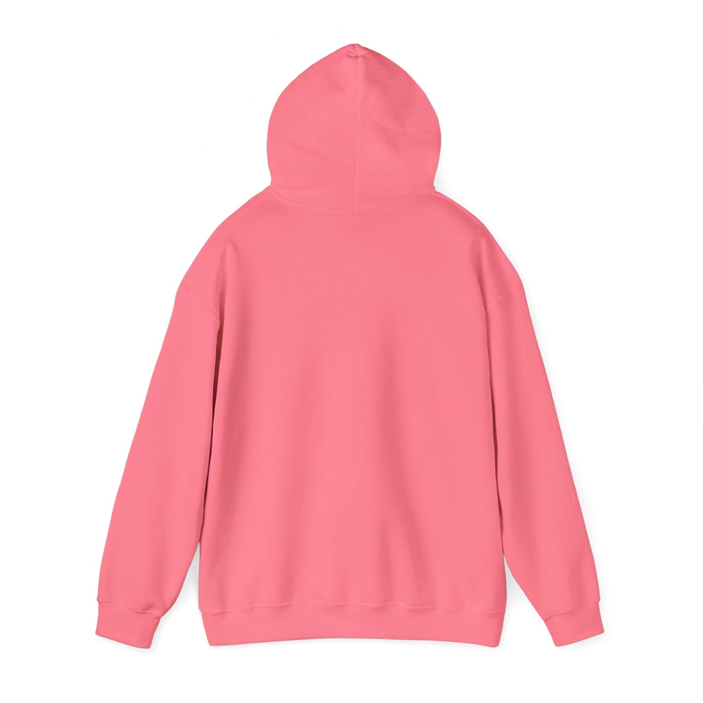 Winter Is Coming Hooded Sweatshirt
