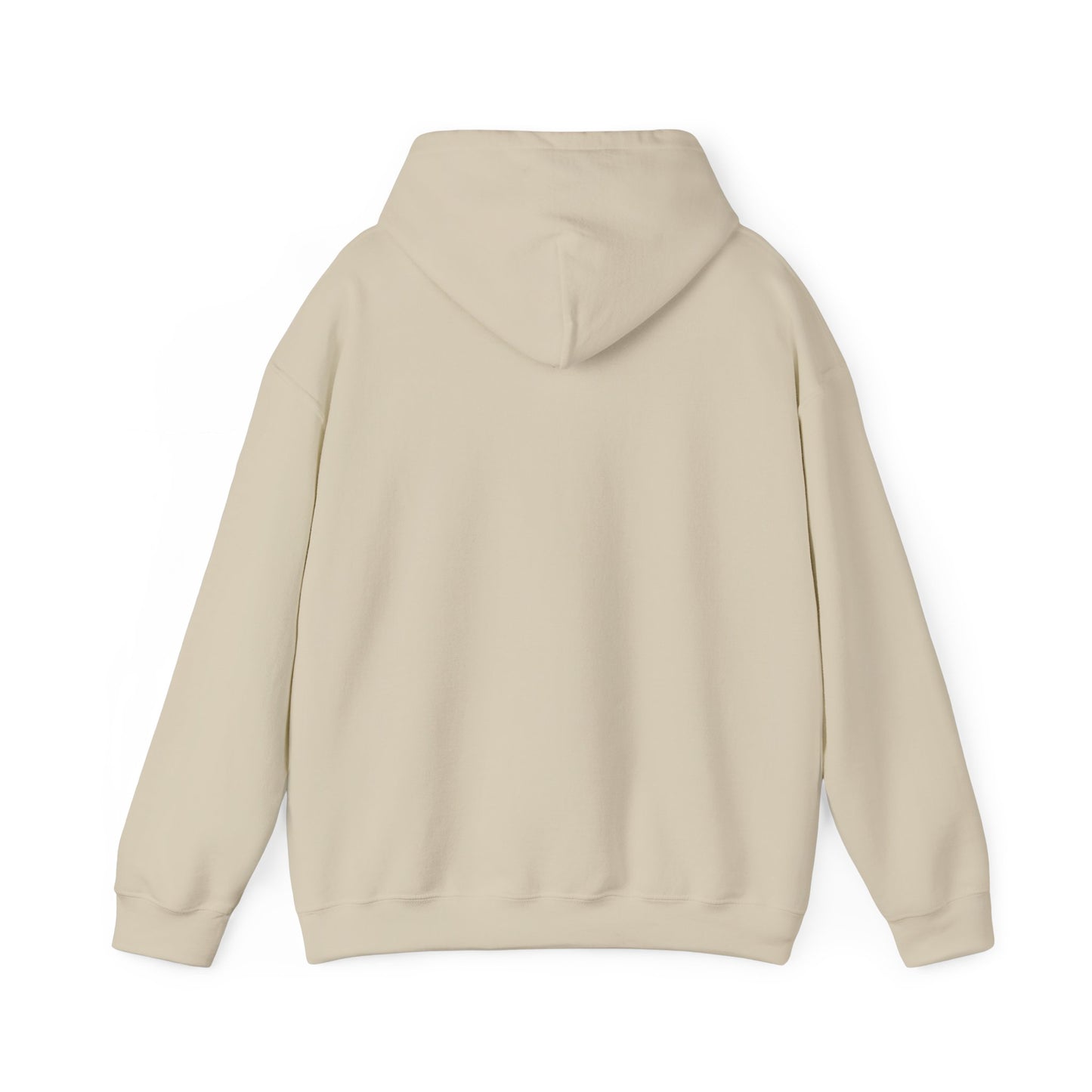 Winter Is Coming Hooded Sweatshirt