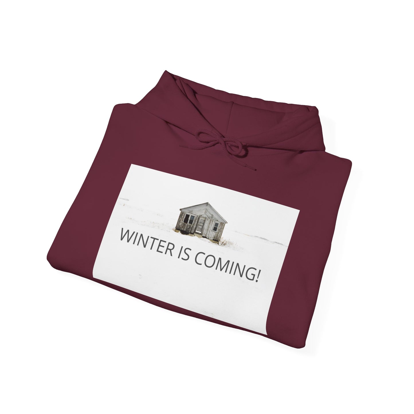 Winter Is Coming Hooded Sweatshirt