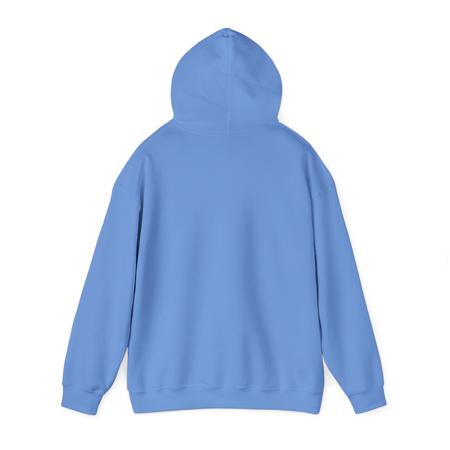 Winter Is Coming Hooded Sweatshirt